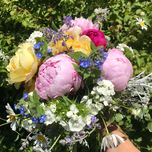 Bramshill Flowers - Thumbnail