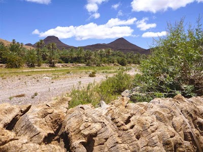 Photos of Hotels Kasbah & Best places to visit Skoura