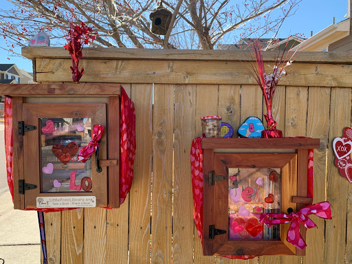 Moon Wink Little Free Library