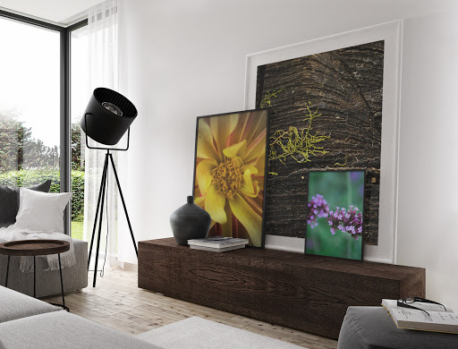 SAAT Galleries - Visual