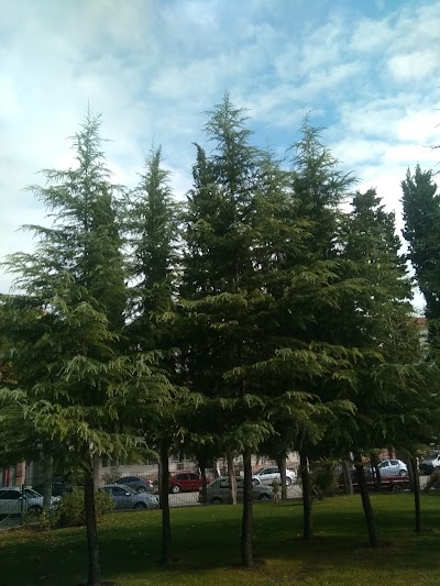Photos of Cumhuriyet Parkı