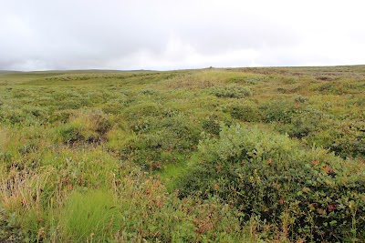 Photos of Hlj&oacute;&eth;aklettar