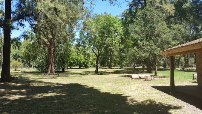 Camping Parque Municipal Los Robles, Author: Malevo Roni