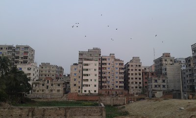 Photos of বারোঘরটোলা জামে মসজিদ