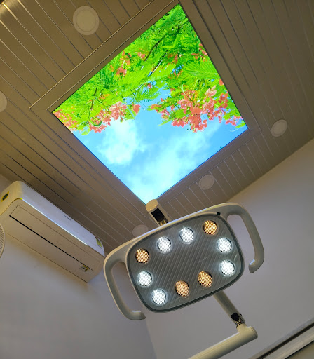 Gallery image 4
