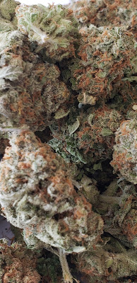 Photo of Acadia Cannabis Co
