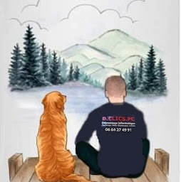 Photo n°22 de D.CLICS.PC à Nilvange (Service de récupération de données)