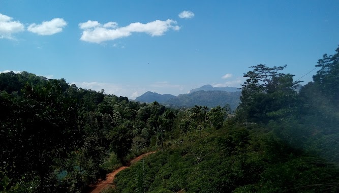 Dartry Tea Factory, Author: Bhathiya Jayasundara