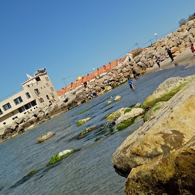 Photos of La Petite Plage