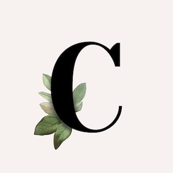 Customize Cleaning - Visual