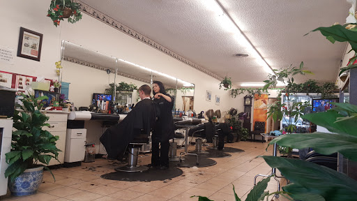 Smartcuts - Visual