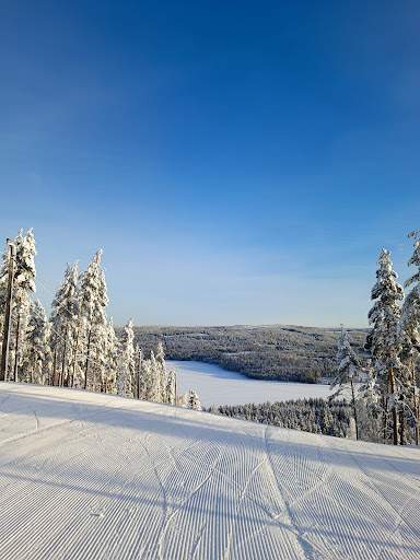 Bjursbacken - Visual