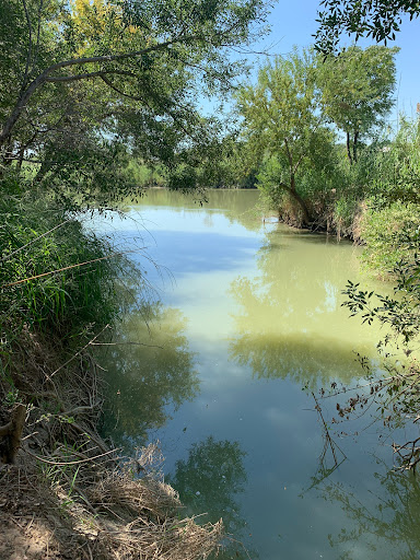 Chacon Bat Park - Visual