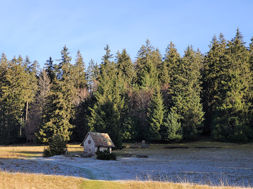 Steinebergkapelle - Thumbnail