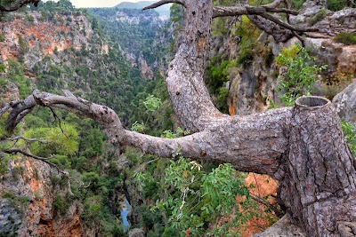 Gulluk Mountain Termessos National Park