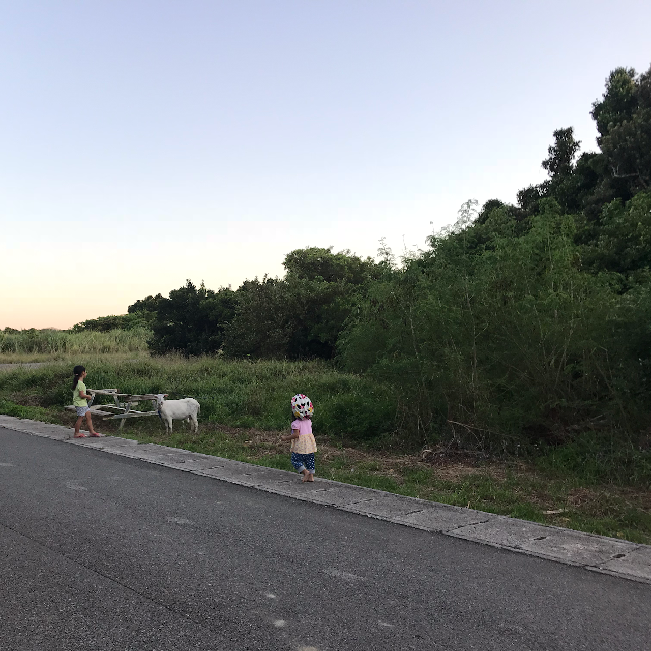 波照間島 レンタサイクル ねも自転車 沖縄県竹富町