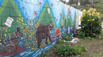 Photos of Museo del Barrio