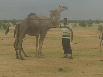 Photos of African Tracking Promotion Mauritanie
