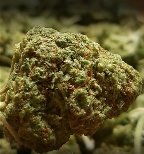 Mery Joint CBD Shop C.Fiorentino