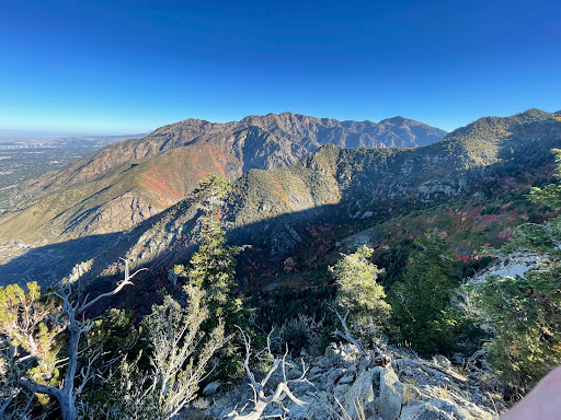 Houndstooth Trailhead - Visual