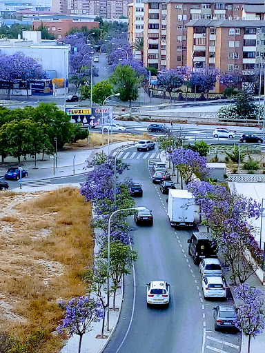 IES Bahía de Babel - Thumbnail