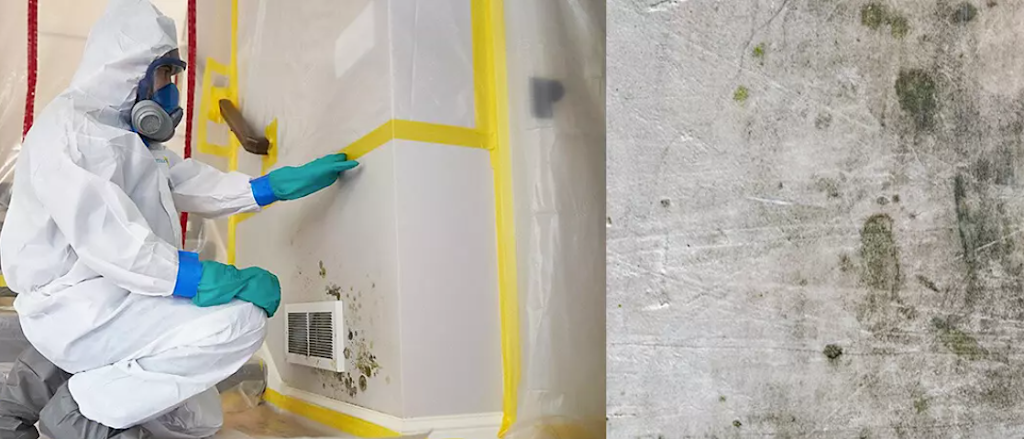 Xperts Mold & Water Restoration photo