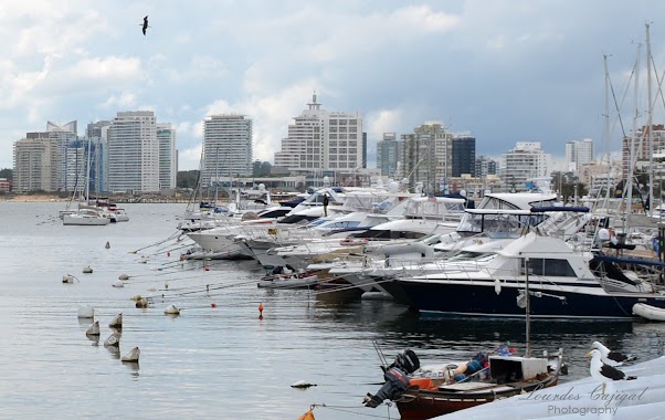 Alquiler de barcos en Punta del Este, Author: Lourdes Cajigal