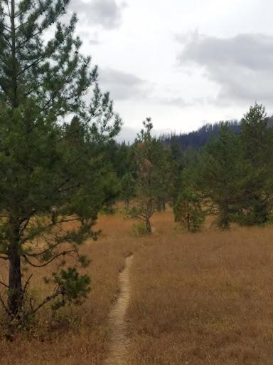 Indian Camp Campground - Thumbnail