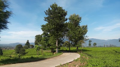 Photos of Balai Desa Margamukti