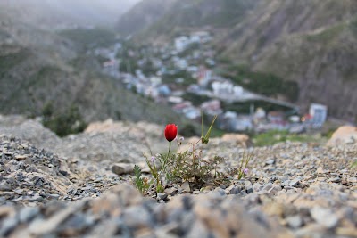 Uludere Belediyesi