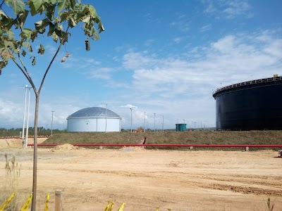 Photos of Estaci&oacute;n San Fernando