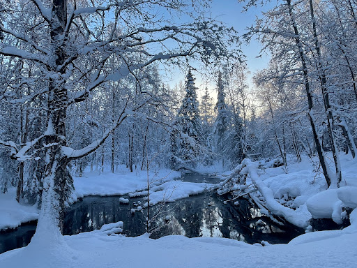 Russian Jack Springs Park South - Thumbnail