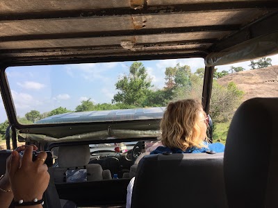 Photos of Go Sri Lanka Tours