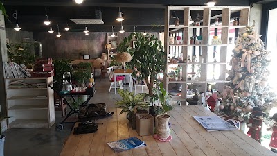 Photos of Coffee roasting shop dasol