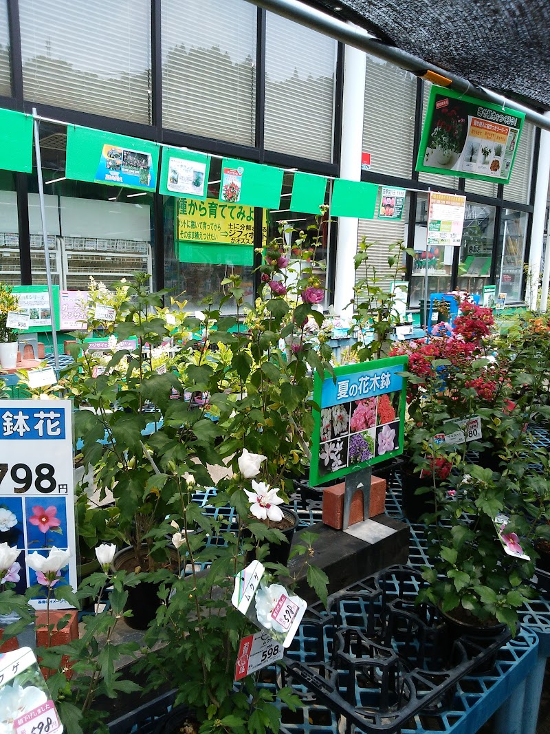 70以上 コメリ 花苗 コメリ 花苗