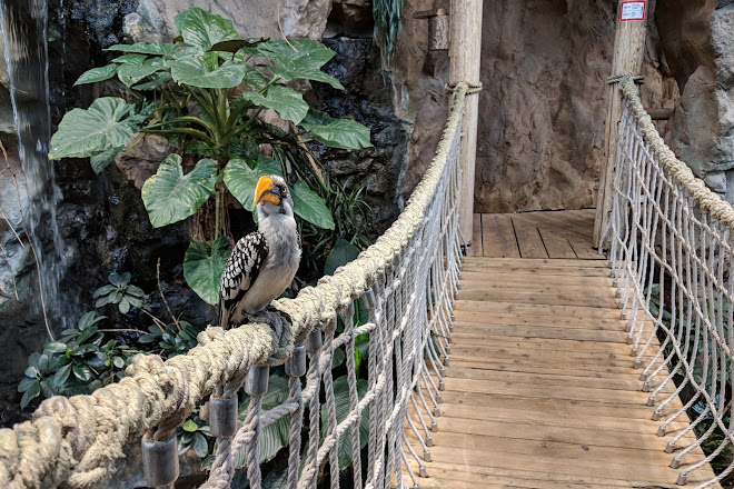 Visit Haus Des Meeres Aqua Terra Zoo On Your Trip To Vienna