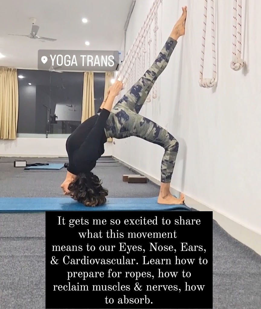 Yoga Trans Since 2013 Sec 21 By Shveta Sharma Offline Online Classes