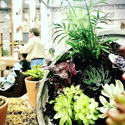 Photo n°19 de Antikhair à Cavaillon (Barbier)