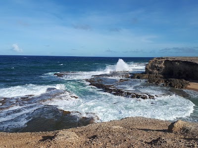 Photos of Cove Bay