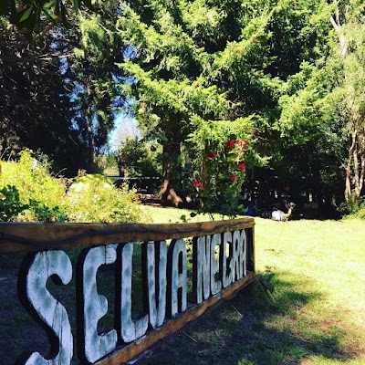 Photos of Camping Black Forest