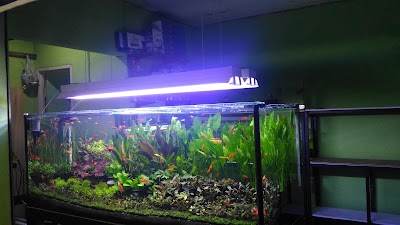 Photos of AQUASCAPE & AIR LAUT