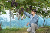 の村ぶどう園