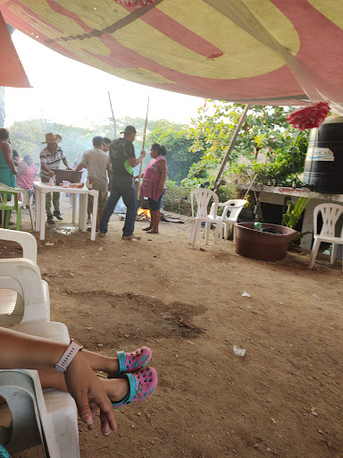 Parota seca