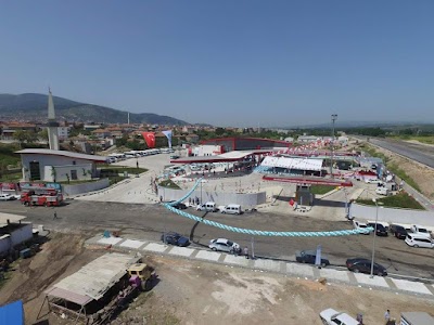 Photos of Soma Travel