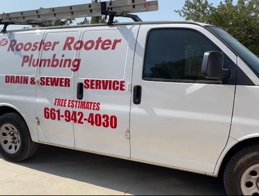 Rooster Rooter - Visual