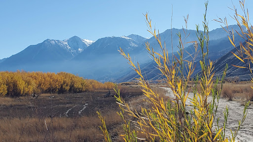 River Fork Ranch - Visual