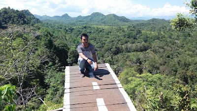Photos of Perusahaan Kayu Jati