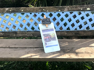 Photo n°92 de Restaurant Chez Padoue à Sotta (Animateur de soirées et d'événements)