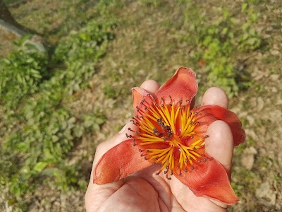 Photos of Nurjahan Eco Park