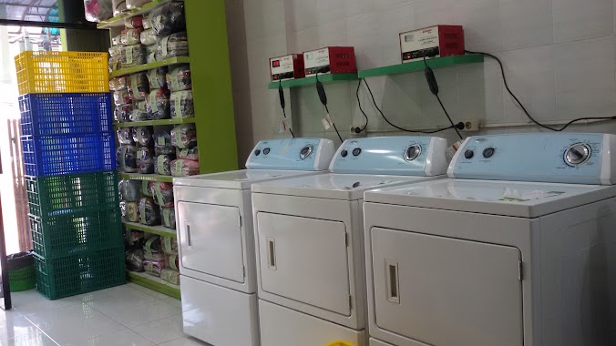 Laundry Zone, Author: Estrela Collection